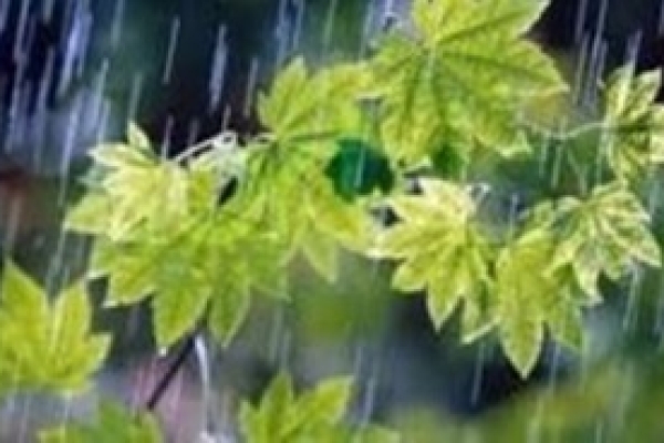 وقوع بارندگی در برخی نقاط کشور