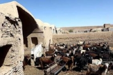 کشف ۲۴ کیلوگرم موادمخدر در یک «طویله» /دستگیری یک متهم زن