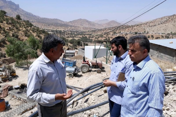 بازدید معاون اشتغال و خودکفایی کمیته امداد امام خمینی (ره) کشورازطرح های خوکفایی اشتغالزایی مددجویان کمیته امداد سرپل ذهاب