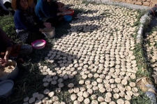 رسم دیرینه و فرهنگ بومی درست کردن ترخینه در میان مردم زلزله زده سرپل ذهاب/"ترخینه" غذای محلی مورد علاقه مردم سرپل ذهاب است