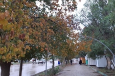 ادامه بارندگی،کاهش دمای روزانه ازمهمترین پدیده های جوی در شهرستان خواهد بود