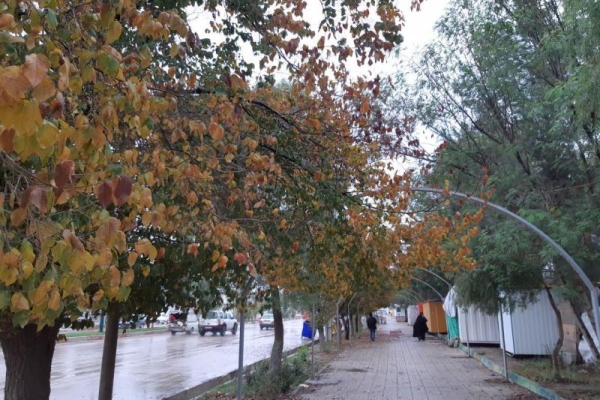 ادامه بارندگی،کاهش دمای روزانه ازمهمترین پدیده های جوی در شهرستان خواهد بود