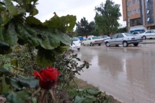 بارش 16 میلیمتری باران در سرپل ذهاب/کاهش دمای هوا وبارندگی پدیده های محسوس هفته جاری
