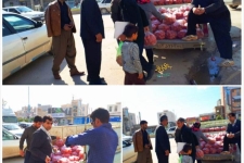  کشف و ضبط ۶ تن گوجه فرنگی قاچاق در مرز پرویزخان شهرستان قصرشیرین