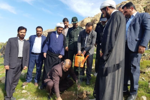  100 اصله نهال در پارک جنگلی شهرستان سرپل ذهاب غرس شد