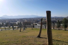 عملیات هرس درختان سطح شهرستان سرپلذهاب آغاز شد/ دوستداران طبیعت نگران نباشند