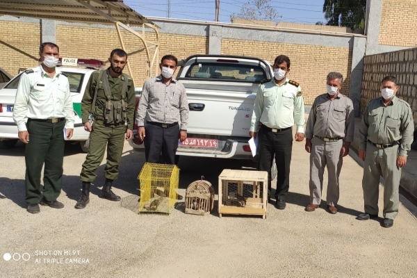 کشف و ضبط چهار قطعه کبک از شکارچیان متخلف در شهرستان