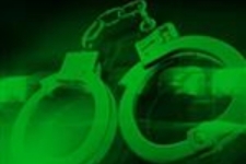 دستگیری ۷ نفر از متخلفین شکار و صید و معرفی آنان به مراجع قضایی طی یک ماه گذشته