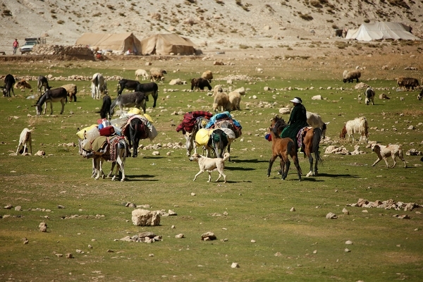 آغاز کوچ پاییزه عشایر شهرستان به مناطق قشلاقی
