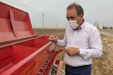آغاز کشت غلات آبی و دیم در شهرستان