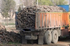 کشف دو محموله نوزده تنی چوب قاچاق در شهرستان سرپلذهاب