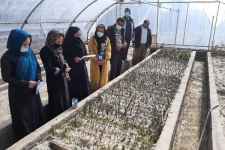 برگزاری آموزش تئوری و عملی رشته های مختلف کشاورزی در شهرستان