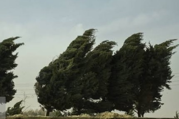 سرعت وزش باد در شهرستان به ۷۲ کیلومتر رسید/ تداوم این شرایط تا پایان هفته جاری