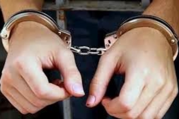 ‍ دستگیری ۱۱ نفر سارق و کشف۲۳ فقره سرقت در سرپلذهاب