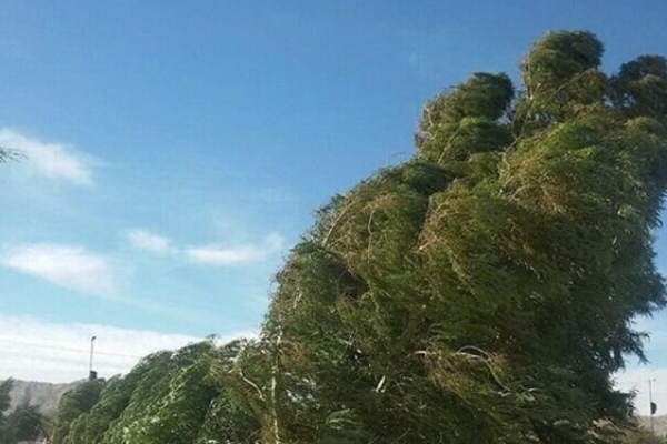 سرعت وزش باد در شهرستان به ۴۳ کیلومتر رسید/ هوای شبانه سردتر میشود