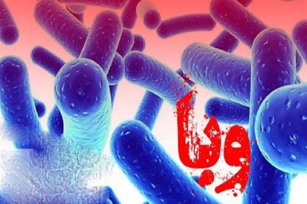 هیچگونه مورد مشکوکی از ابتلا به بیماری وبا در شهرستان مشاهده نشده است