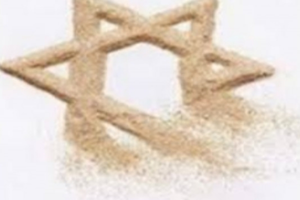 بیژن رجبی هولوکاست دروغین در اروپا، اجرای حکم در "فلسطین"