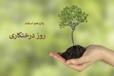 برنامه های هفته منابع طبیعی در شهرستان سرپلذهاب تشریح شد