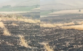 اطفاء حریق مزارع گندم شهرستان در دهستان بشیوه و پاطاق