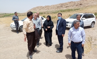 بازدید مسئولین استانی و شهرستانی از زمین‌های پیشنهادی برای اجرای طرح نهضت ملی‌مسکن در سرپل ذهاب