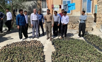 بازدید فرماندار سرپل ذهاب از روستاهای بخش دشت ذهاب/ بررسی مشکلات و رسیدگی به مطالبات مردمی هدف بازدید بود