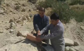کشف و ضبط تعداد ۲۳ فرد سهره طلایی از شکارچیان غیر مجاز در شهرستان