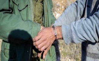 ۱۴ نفر متخلف شکار و صید غیرمجاز و تحویل به مراجع قضایی در شهرستان