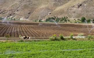 طرح مغفول‌مانده سامانه گرمسیری در اراضی کشاورزی قلعه‌شاهین