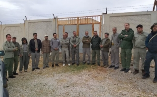 سرشماری گونه های شاخص پستانداران در پناهگاه حیات وحش قراویز