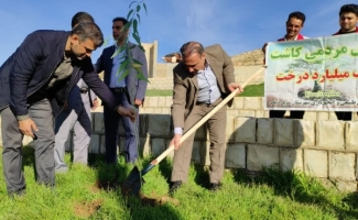 در شهرستان سرپل ذهاب اقدام به کاشت نهال شد.