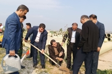 غرس‌نهال در محور تردد زوار اربعین‌حسینی به‌مناسبت روز درختکاری