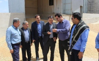 آماده ذخیره سازی ۵ سیلو از گندم‌های برداشت شده مزارع شهرستان