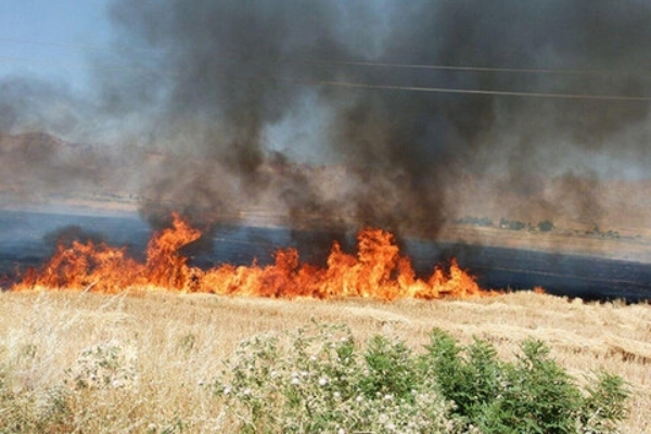 مراتع دهستان سرقله و جگیران طعمه حریق شد