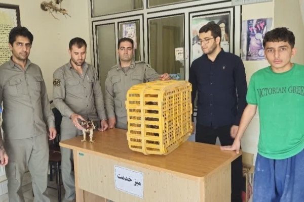 رهاسازی دو بال پرنده شکاری از نوع سارگپه و عقاب توسط مأمورین یگان حفاظت محیط زیست شهرستان