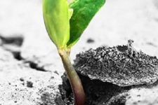 تاب‌آوری در شرایط چالش‌برانگیز