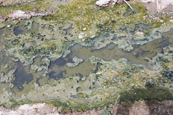 اجرایی‌نشدن دفع فاضلاب در شهرک‌های الحاقی سرپل‌ذهاب