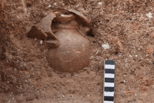 ماجرای کشف کوزه ساسانی پر از طلا در بوشهر