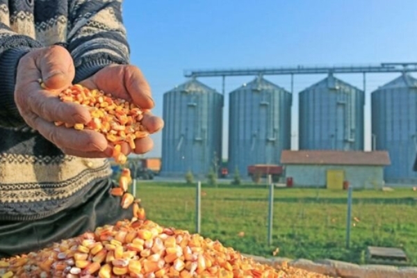 افزایش برخوردها با فساد «پشت‌فاکتوری‌» در سامانه بازارگاه