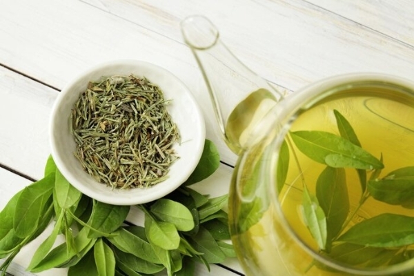 چای سبز فنجانی برای دستیابی به زندگی سالم و متعادل