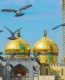 صدای حقیقت در عصر اختناق