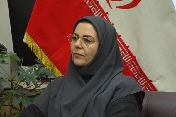 دسترسی رایگان به منابع علمی در کتابخانه‌های کرمانشاه