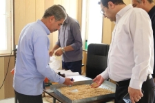 خرید ۲۷ هزار تن گندم از کشاورزان کرمانشاه؛ نظارت میدانی بر مراکز خرید تضمینی در مناطق گرمسیری
