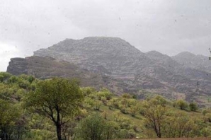 امسال ۳۰ هکتار به فضای پارک جنگلی سراب قنبر کرمانشاه اضافه می‌شود
