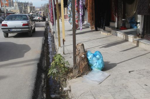 قطع درختان توسط شهروندان سرپل ذهابی / از پیگیریهای شهرداری تا برخورد قانونی و ارجاع متخلفین به مقامات قضایی 