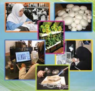 اهداف بلند بسیج و سپاه کرمانشاه برای تحقق اقتصاد مقاومتی/ از حمایت از صنایع تبدیلی تا کمک به اشتغال جوانان روستایی