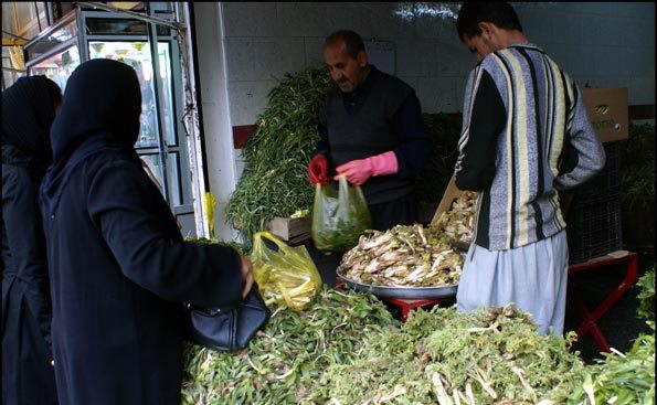  فصل بهار و عطر دل انگیز غذاهایی باگیاهان بهاری / وقتی گیاهان معطر ومغذی فصل بهار میهمان سفره های مردم می شود