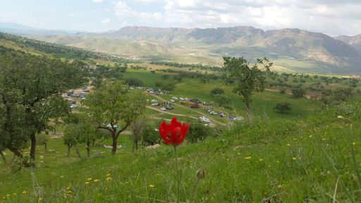 65 هزار مسافر نوروزی از جاذبه های تاریخی وفرهنگی شهرستان بازدید کردند