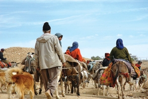 آغاز کوچ بهاره عشایر استان از اواخر فروردین ماه / مقدمات لازم جهت تسهیل در کوچ عشایر فراهم شده است