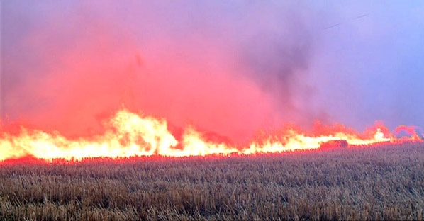  ازایجاد آلودگیهای زیست محیطی تا تاثیرات منفی آتش زدن بقایای محصولات برزمینهای کشاورزی / وقتی تشکیل مديريت بحران آتش سوزی در مزارع كشاورزي ضروری می شود