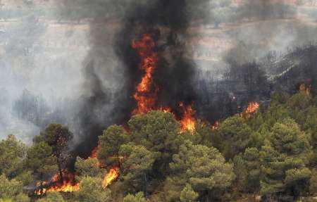 ازعدم رعایت مردم در برپاکردن آتش تاعدم وجودامکانات مناسب اطفای حریق/ وقتی شعله های آتش به جان درختان ومراتع شهرستان می افتد